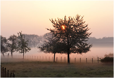 Veldschuur - Veldschuurdijk