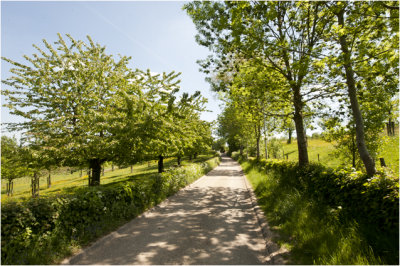 Reijmerstok - Groenendalsbergweg