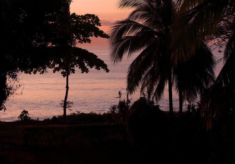 Sunrise from the house.jpg