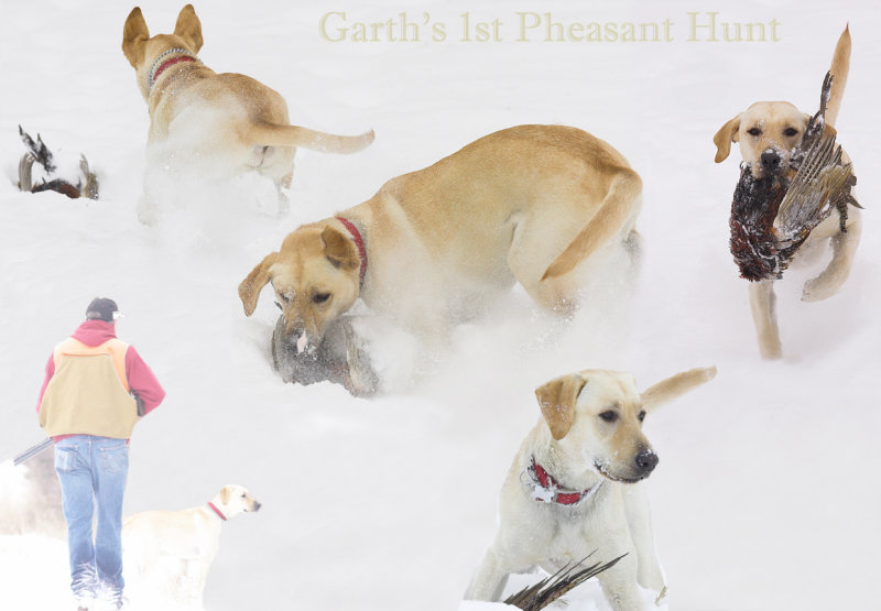 Garth 1st Hunt Collage.jpg