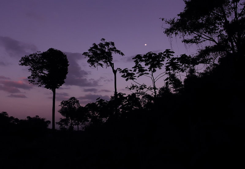 Final caribbean sunset.jpg