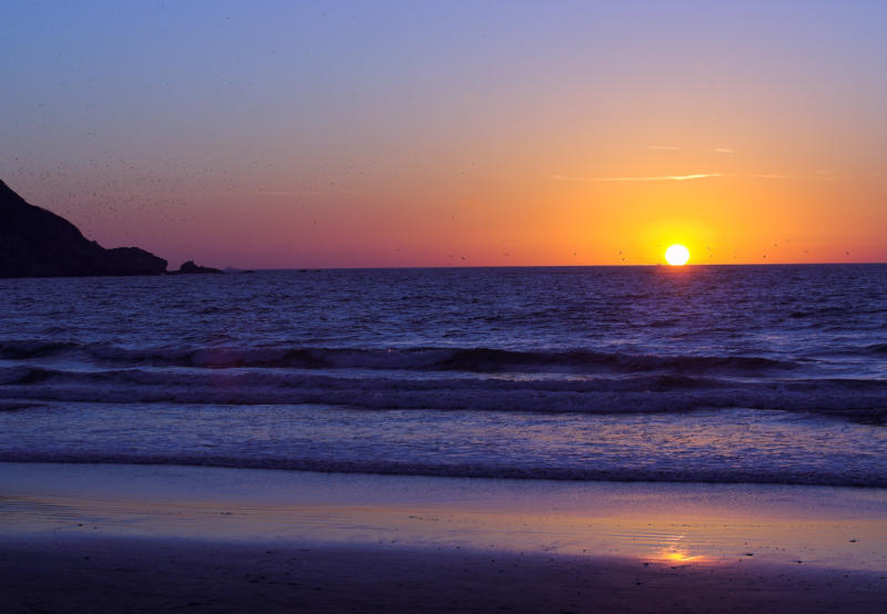 Bird Island Sunset.jpg