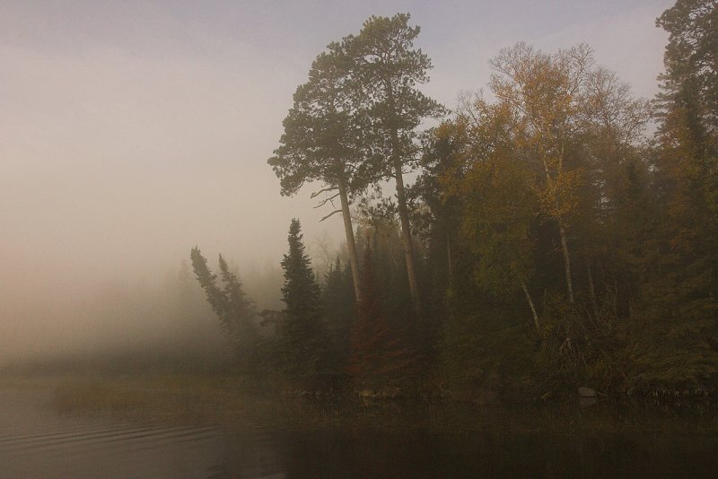 Fall foggy shoreline.jpg