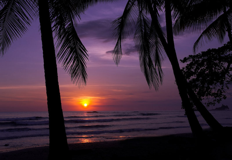 Playa Dominicalito sunset.jpg