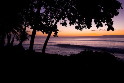 Costa Rica 2009 - Osa Peninsula