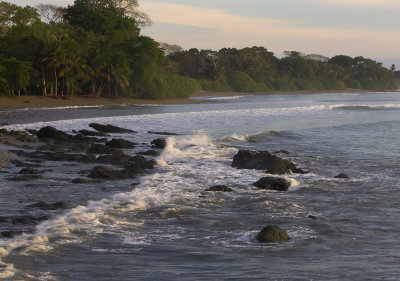 Costa Rica 2009 - Osa Peninsula