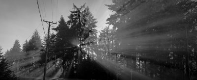 RAYS
