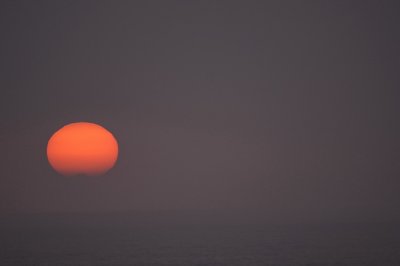 Dolphin Coast Sunrise