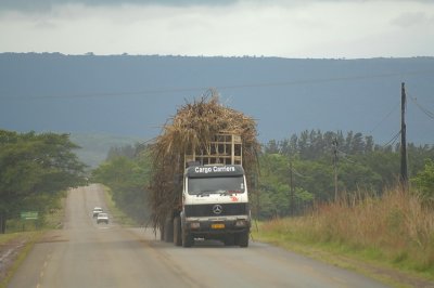 SUGARCANE IN SWAZILAND