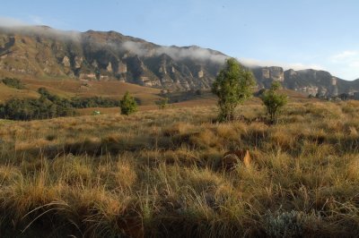 MORNING IN THE DRAKENBERG MOUNTAIN RANGE