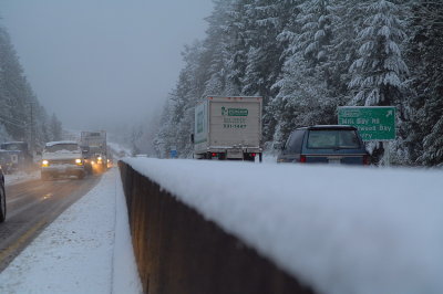 SPRING COMMUTE