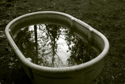 Reflections at Mom's1.jpg