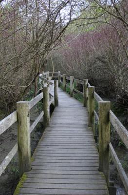WALKWAY.jpg