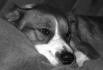 IMG_9679.jpg