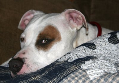 IMG_9661.jpg