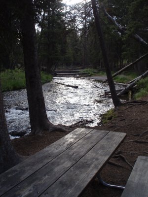 yellowstone_2008