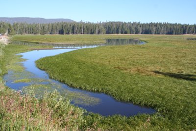 Pelican Creek