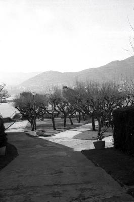 g3/68/50568/3/58142355.algortabw5copy.jpg