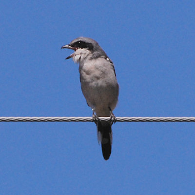 g3/68/537868/3/88835635.R6HiDtqS.jpg