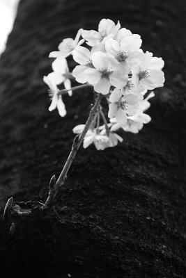 g3/68/538368/3/124846119.a4ExKDCh.jpg
