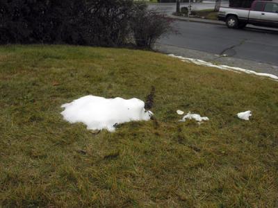 Life of a Snowman