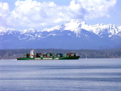 Stowaway Ship