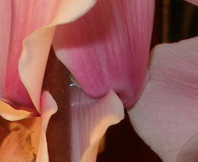 g3/68/565068/3/55718795.untitled013.jpg