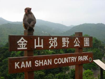 Kam Shan Country Park