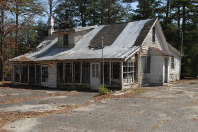 NJ Pine Barrens