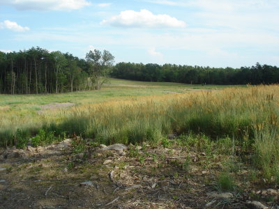 Federals died by the score accross this landscape