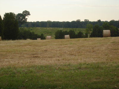 Stoney Hill from Battery Heights