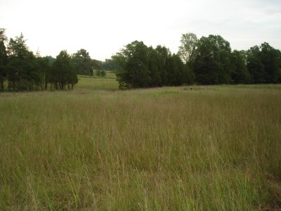 Ground where the Aug 28th Brawner Farm fight occured