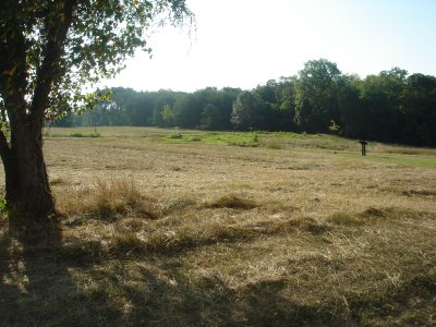Looking towards Federal positions at Brawner Farm