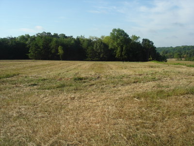 Brawner Farm