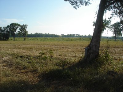 The Federals were mowed down in the distance