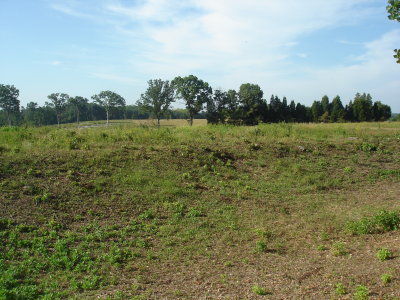 Ground that the Federals charged