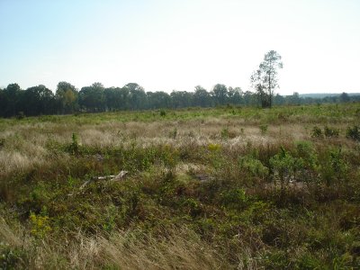 Scene of battle, 30 Aug 1862