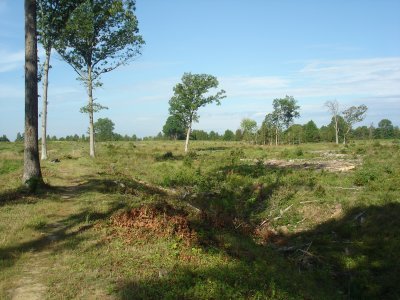 The old camping ground