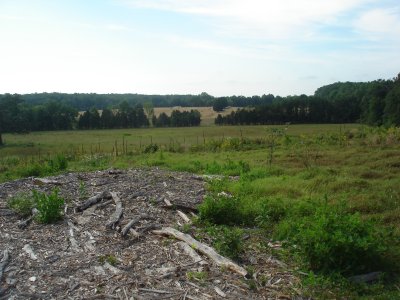 Towards Battery Heights from Stoney Ridge