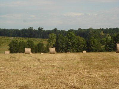 Stoney Ridge from Battery Heights