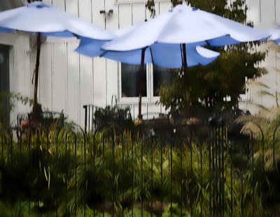 Blue Umbrellas in the Rain