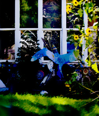 Bluebird in an Artists Front Yard