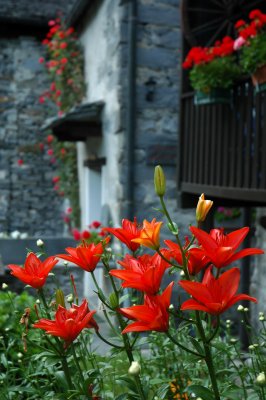 DSC_0145.JPG