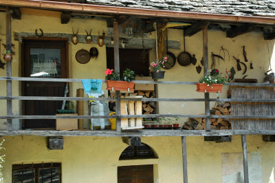 DSC_0203.JPG