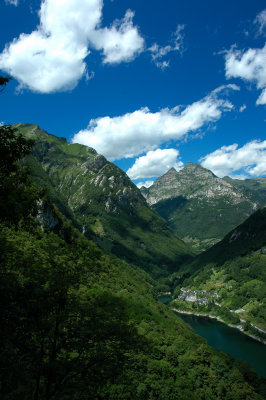 DSC_0220.JPG