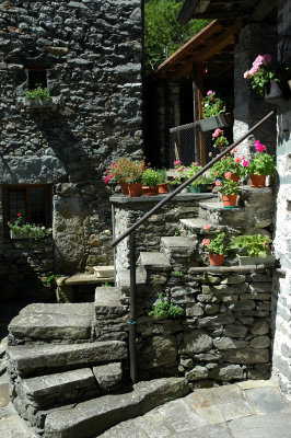 DSC_0369.JPG