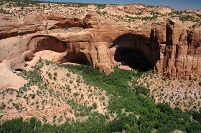 DSC_0421.JPG