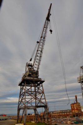 DSC_0039.JPG