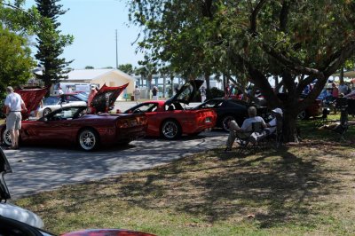 DSC_2014 (Large).JPG