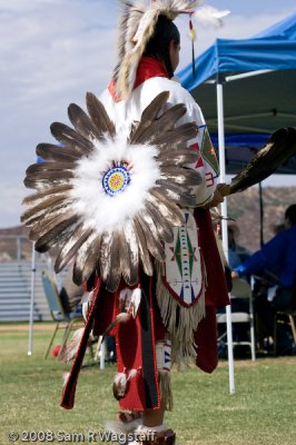 Traditional feather/ Northern traditional